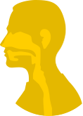 Audiology specialties