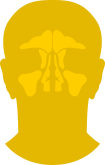 Sinus specialties
